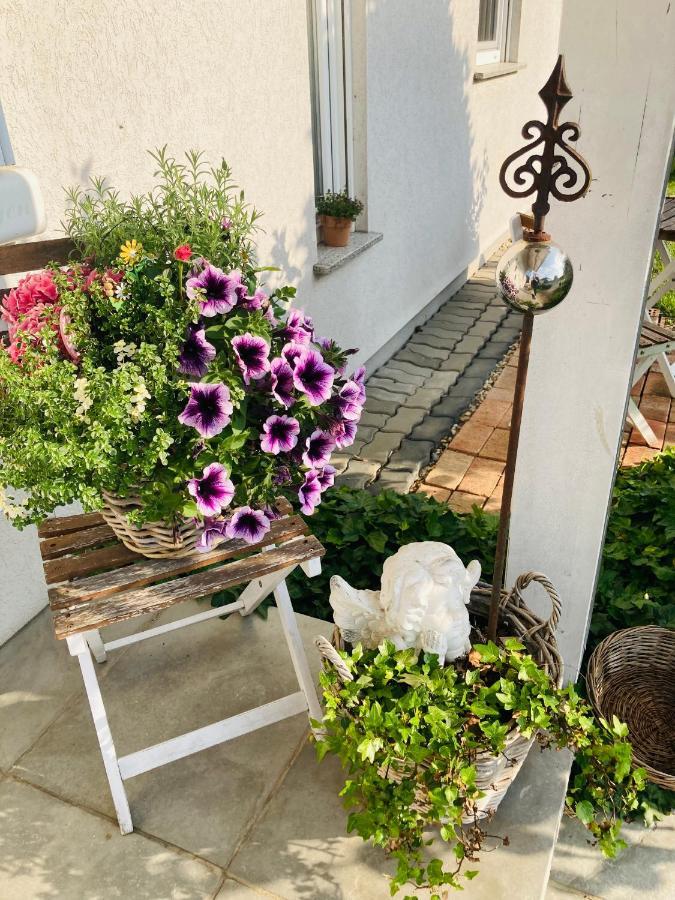 Das Ferienhaus-Zurueck Zum Ursprung Güssing Esterno foto